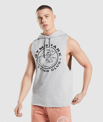 Gymshark Legacy Drop Arm Muške Majica S Kapuljačom Svijetlo Sive | HR 2699HAP